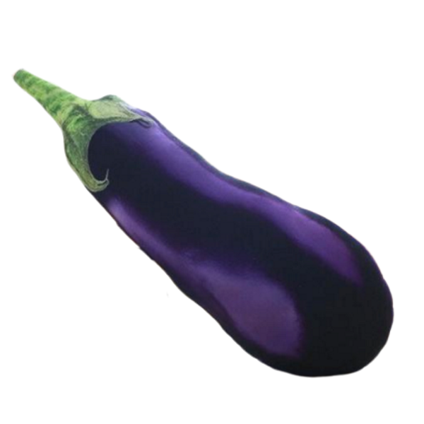 Food Plush | Eggplant Emoji Plush Throw Pillow | sumoearth 🌎